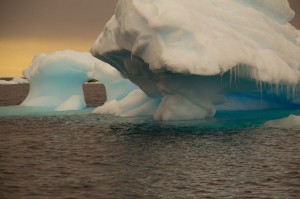 An iceberg near Anvers Island, Antarctica. (photo courtesy of Zena Cardman)