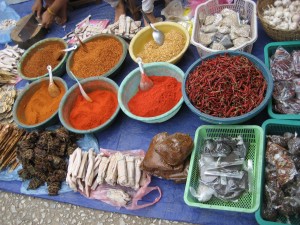 An outdoor market in Laos features spices and water buffalo jerky (white strips, bottom center), which is added to a spicy dipping sauce. (photo by Katy Clune)