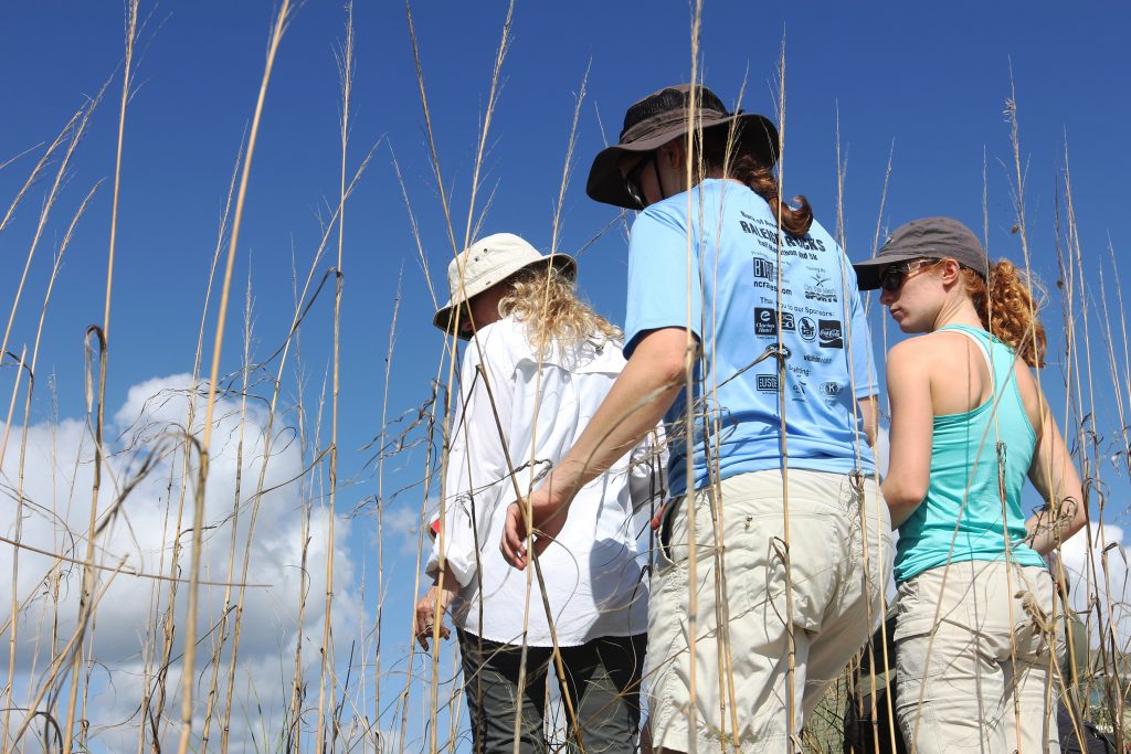 Laura Moore (left), Elsemarie deVries and Katya Jay examine the ecology of a dune on Bogue Banks. (photo by Mary Lide Parker)