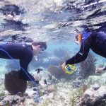 Justin Baumann, a Ph.D. student in the College’s department of marine sciences, works alongside Mariko Wallen, a local diver, in Placencia, Belize. To gather data on how certain types of coral respond to stressors (like warmer water temperatures), Baumann partnered with Fragments of Hope, a Belizean NGO dedicated to conserving coral reefs in the Caribbean. (photo by Mary Lide Parker)